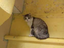 IMG-d0f50d994e8029656b6b37d0cf3abc7d-V.jpg (74.79 КБ) Просмотров: 983 IMG-d0f50d994e8029656b6b37d0cf3abc7d-V.jpg