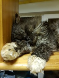 viber image.jpg (198.59 КБ) Просмотров: 1052 viber image.jpg