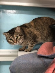 watermarked - ээээээ ээээээ ээээээээээээ э3.jpg (209.29 КБ) Просмотров: 2022 watermarked - ээээээ ээээээ ээээээээээээ э3.jpg