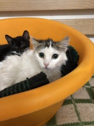 viber image 2019-03-30 , 16.12.35.jpg (168.31 КБ) Просмотров: 2140 viber image 2019-03-30 , 16.12.35.jpg