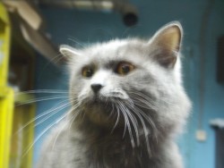 PICT2933.jpg (112.07 КБ) Просмотров: 1363 PICT2933.jpg