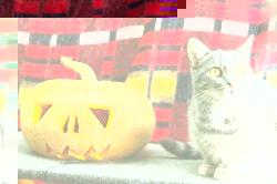 image.jpg (107.57 КБ) Просмотров: 3433 image.jpg