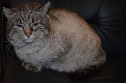 Изображение 584.jpg (166.45 КБ) Просмотров: 2595 Изображение 584.jpg