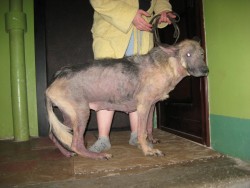 1826994.jpg (195.4 КБ) Просмотров: 1345 1826994.jpg