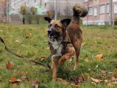 ФИЛЯ.jpeg (76.63 КБ) Просмотров: 15184 ФИЛЯ.jpeg