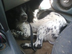 sparu.jpg (185.07 КБ) Просмотров: 1992 sparu.jpg