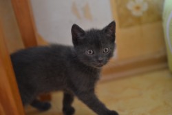 DSC_0165.JPG (3.86 МБ) Просмотров: 2367 DSC_0165.JPG