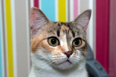 Кася.jpg (274.51 КБ) Просмотров: 1474 Кася.jpg