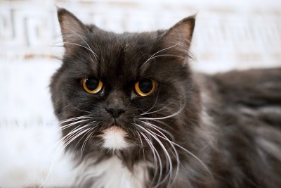 Марта.JPG (92.06 КБ) Просмотров: 2374 Марта.JPG