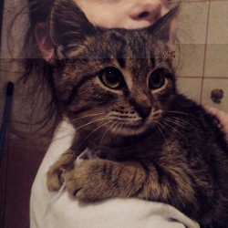 22.jpg (214.46 КБ) Просмотров: 2933 22.jpg