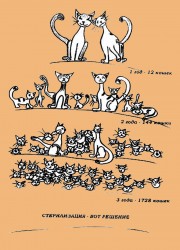 sterikart.jpg (213.38 КБ) Просмотров: 3202 sterikart.jpg