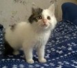 МАЛЫШ - симпатяжка с серьезным взглядом
