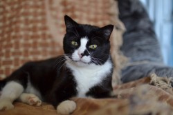 DSC_0050.JPG (3.3 МБ) Просмотров: 1157 DSC_0050.JPG