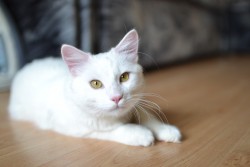 DSC_0067.JPG