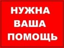 В усыпалку нужны лекарства, газеты, оршанка!