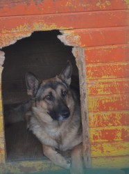 13.08 ß«í 027.JPG (257.35 КБ) Просмотров: 2571 13.08 ß«í 027.JPG