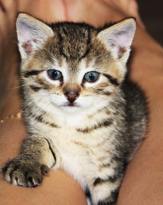 IMG_1934.jpg (270.48 КБ) Просмотров: 727 IMG_1934.jpg