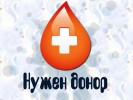 СРОЧНО нужен донор коту!