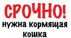 1459250318_319.jpg