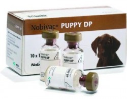 Nobivac Puppy.jpg