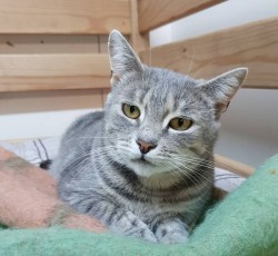 photofacefun_com_1525951427.jpg (162.69 КБ) Просмотров: 818 photofacefun_com_1525951427.jpg