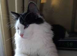 IMG-029ae4cfd1aa05f2623b15a09d8e3f49-V.jpg (44.8 КБ) Просмотров: 2930 IMG-029ae4cfd1aa05f2623b15a09d8e3f49-V.jpg